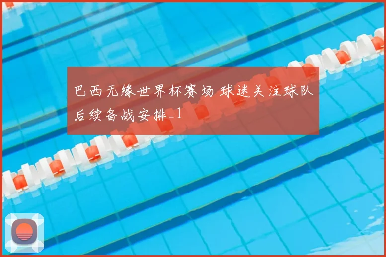 巴西无缘世界杯赛场 球迷关注球队后续备战安排_1