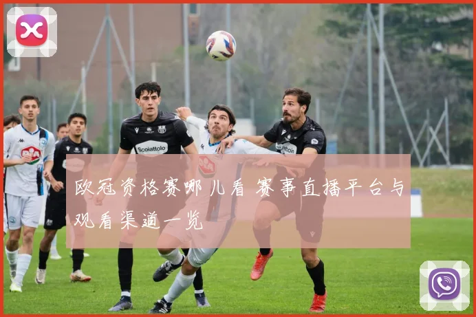 欧冠资格赛哪儿看 赛事直播平台与观看渠道一览